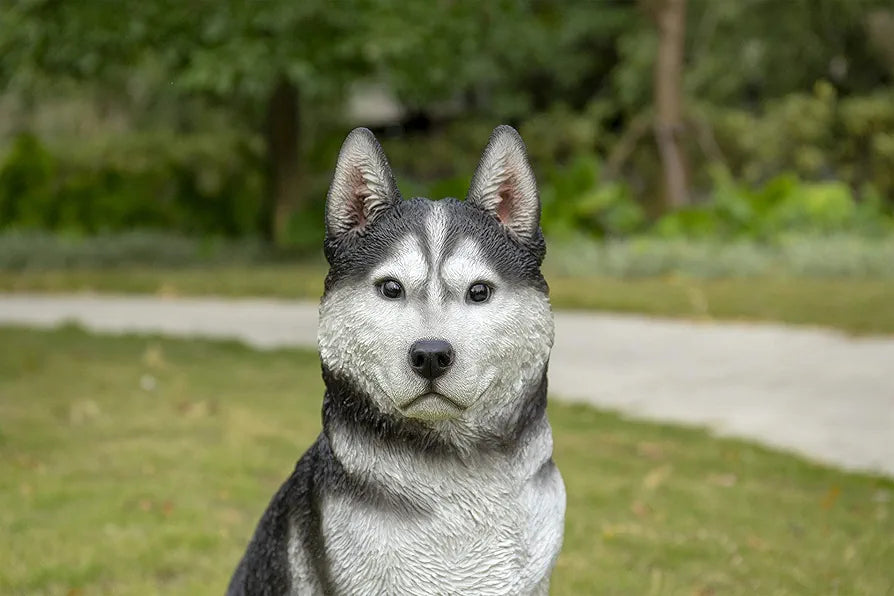 Husky Statue – Realistic Sitting Dog Figurine, Hand-Detailed Polyresin, 12 lbs