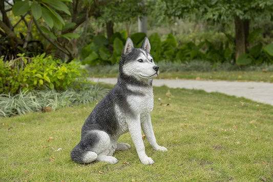 Husky Statue – Realistic Sitting Dog Figurine, Hand-Detailed Polyresin, 12 lbs